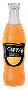 Cappy 100% pomeranč 250ml